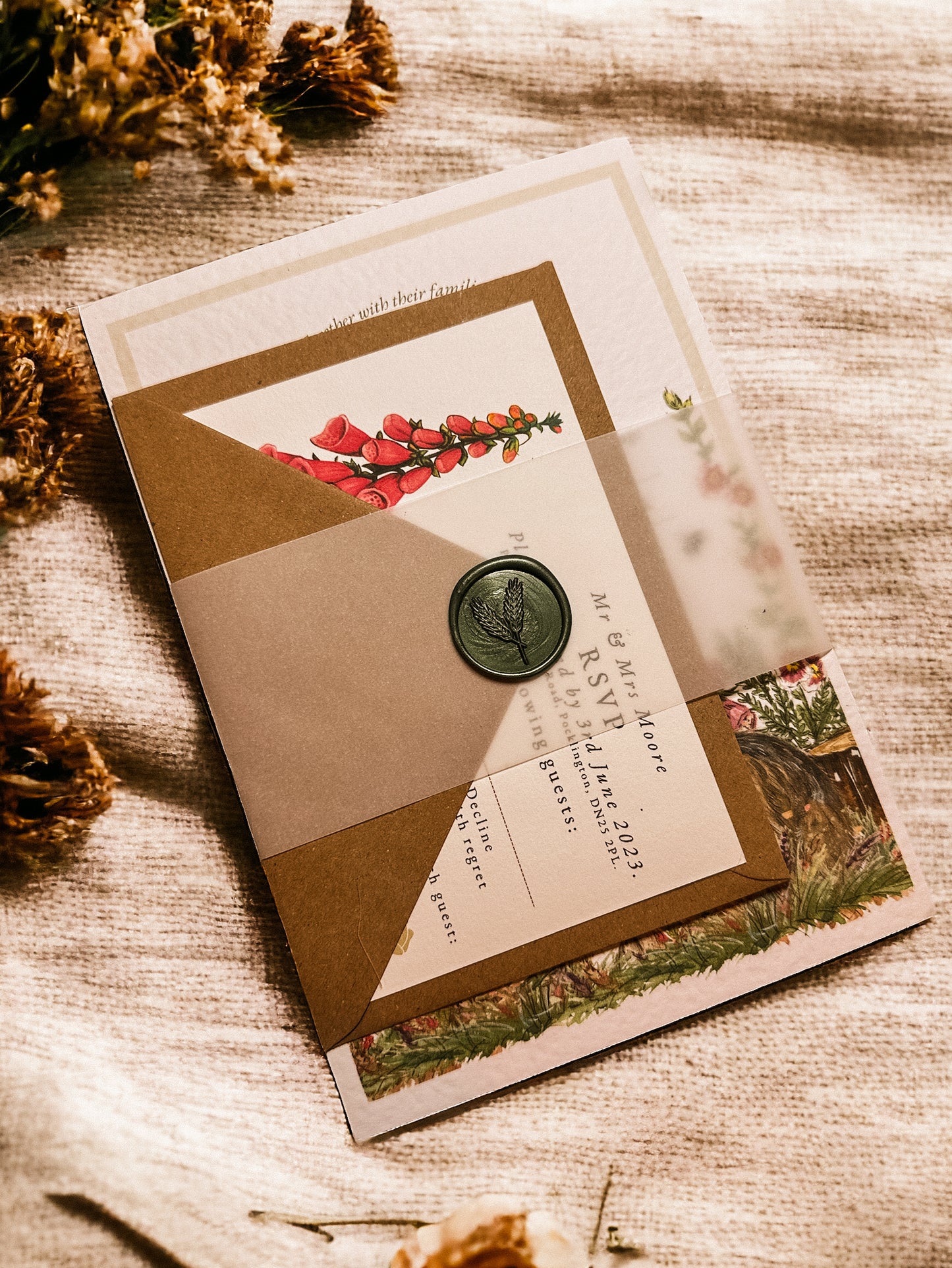 Belly Band - Vellum & Wax Seal