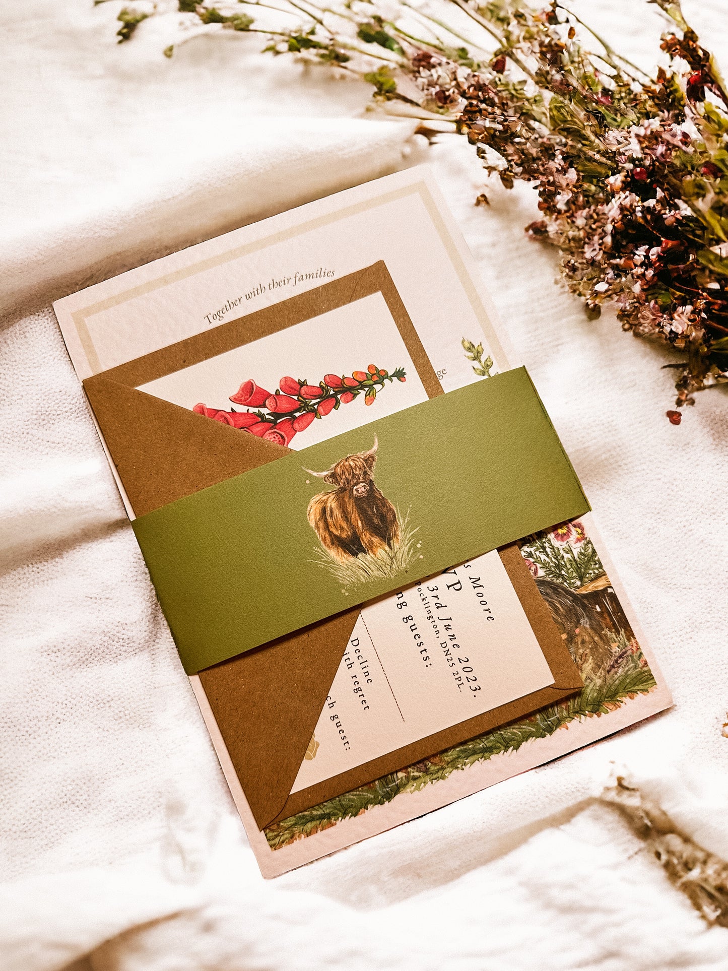 Belly Band - Highland Cow