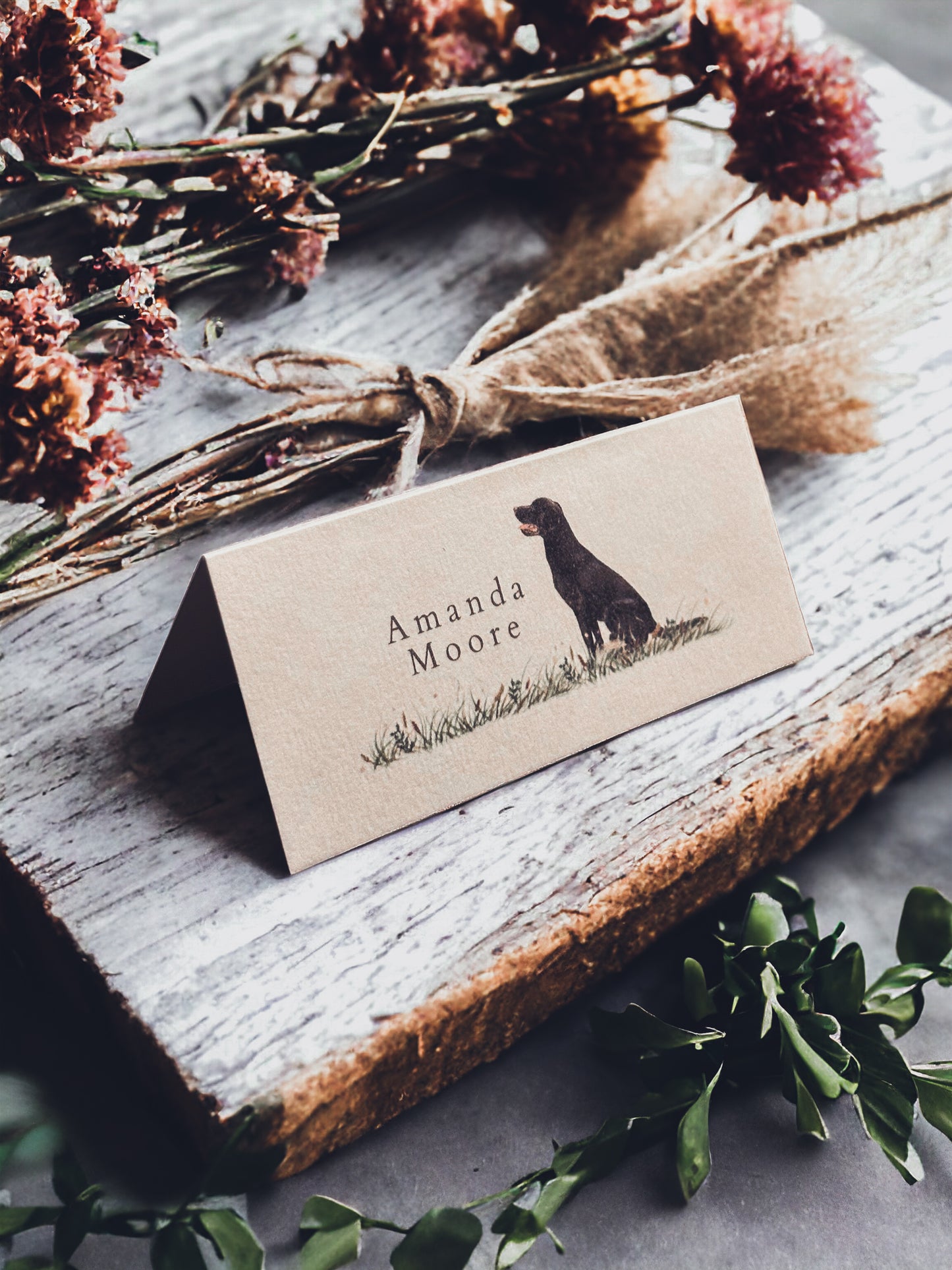 Black Labrador Place Name