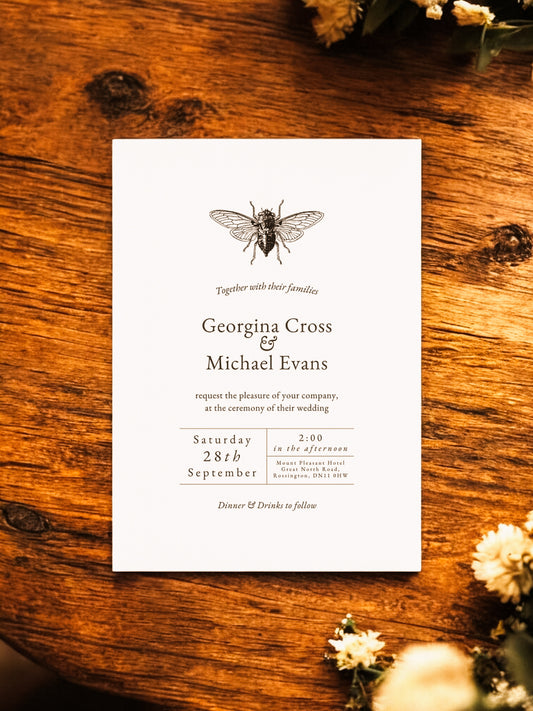 Minimalistic Bee