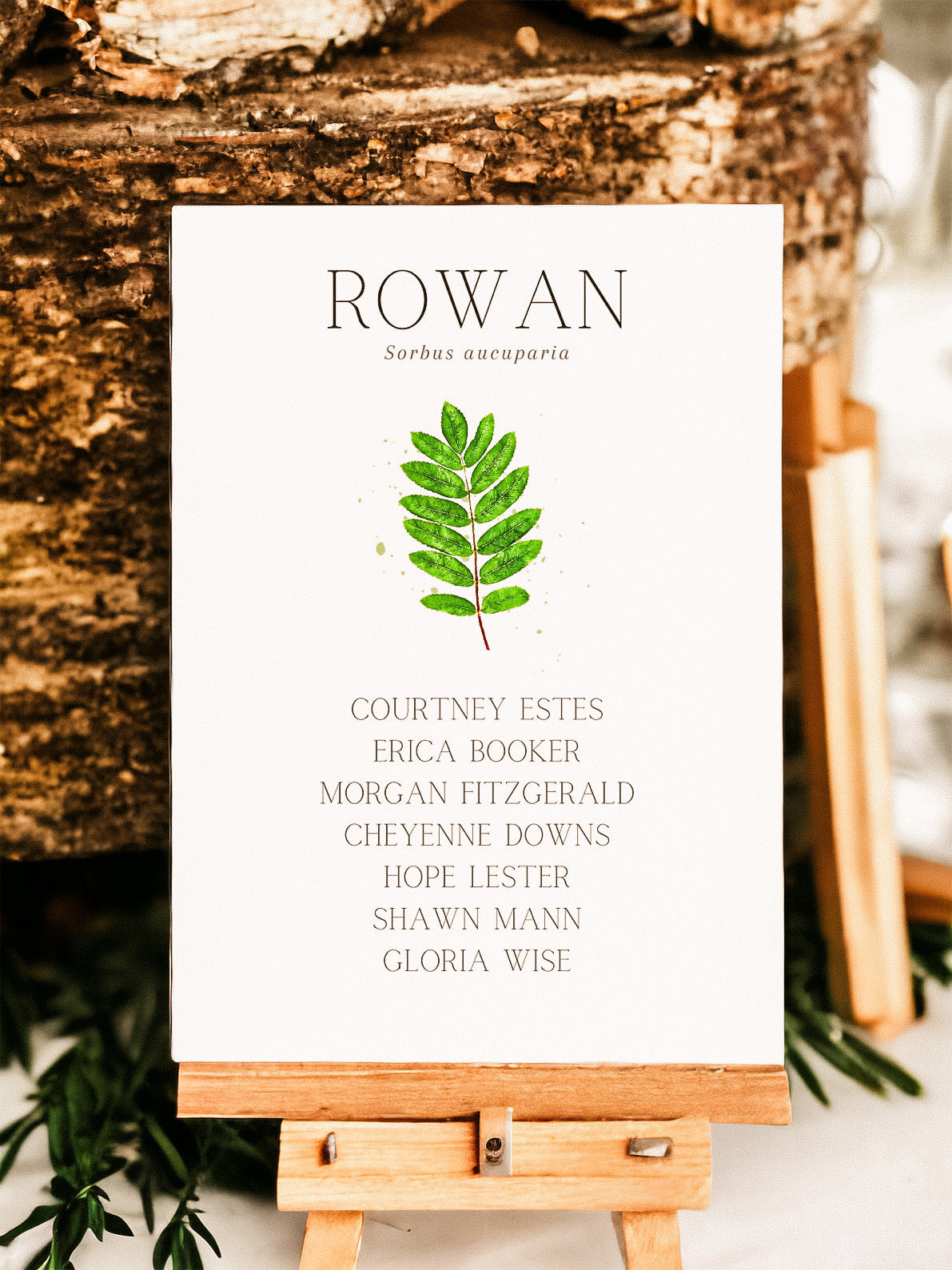 British Tree Leaf Table Name Lists