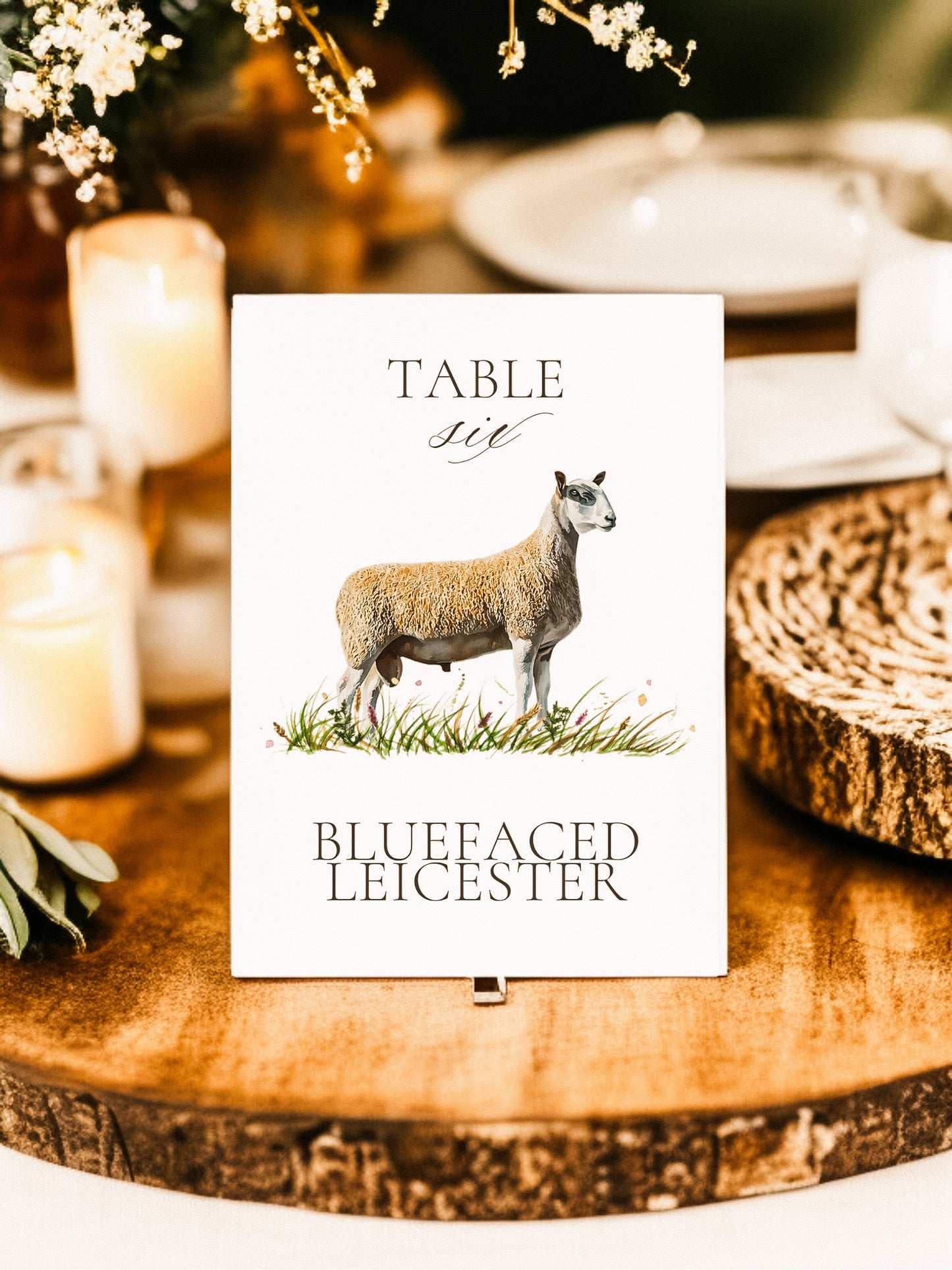 Sheep Table Names V2