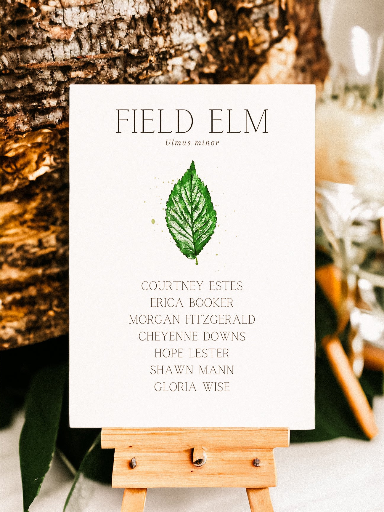 British Tree Leaf Table Name Lists