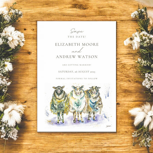 Winter Trio of Sheep - Full Range