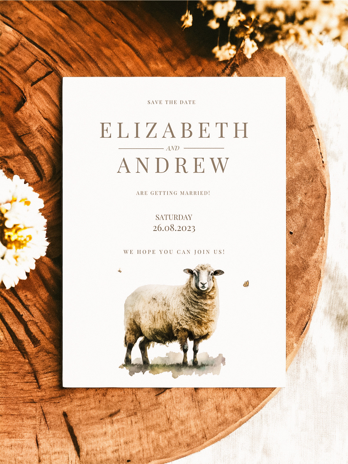 Sheep - Full Range