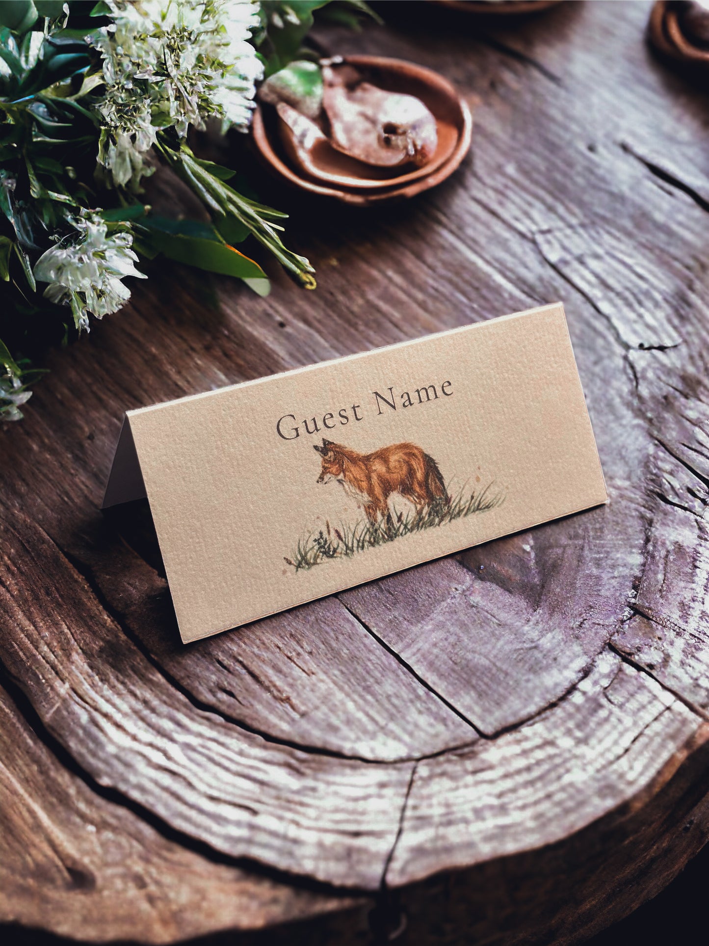 Fox - Place Name
