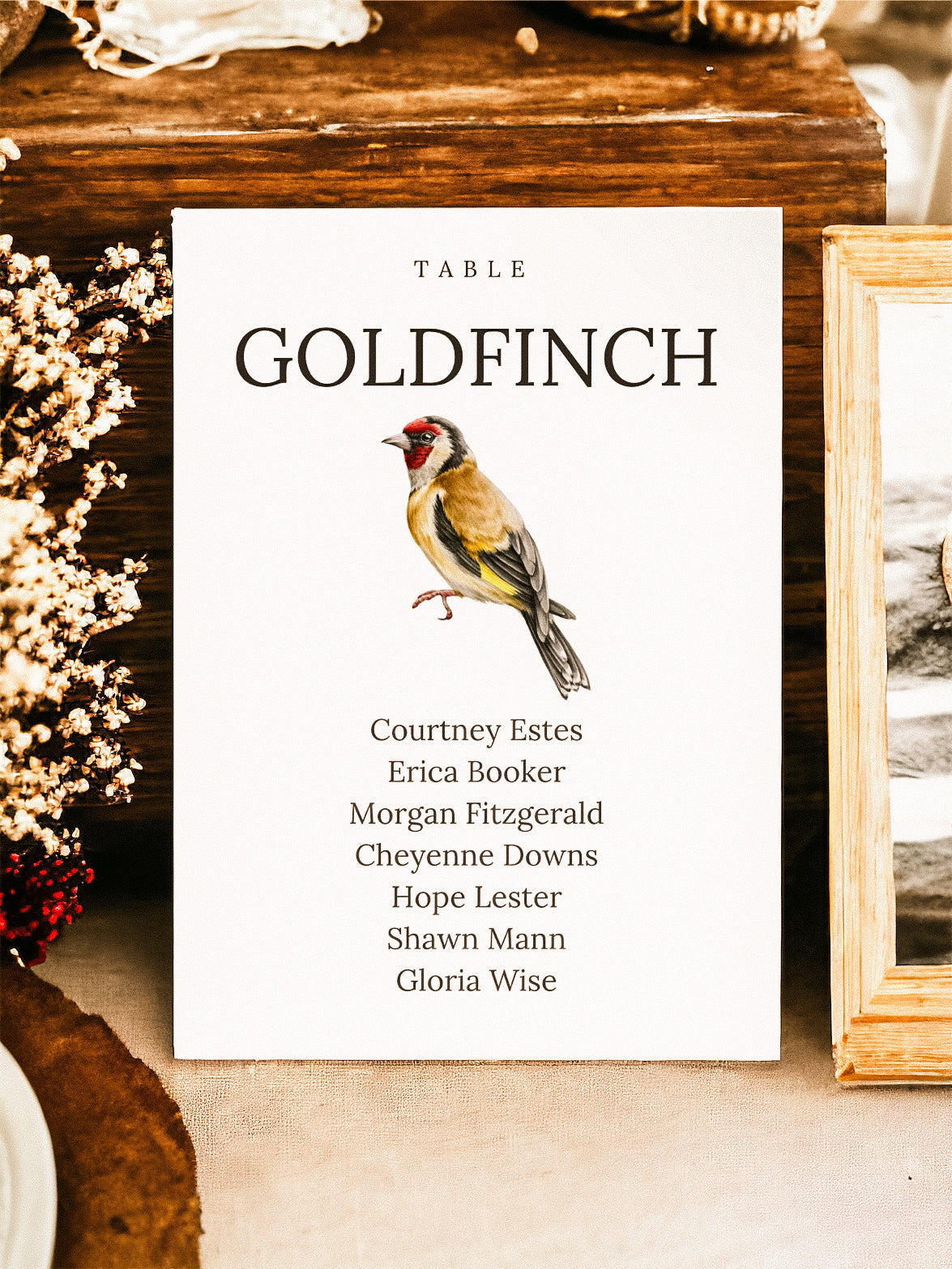 Garden Bird Table Names & Name Lists
