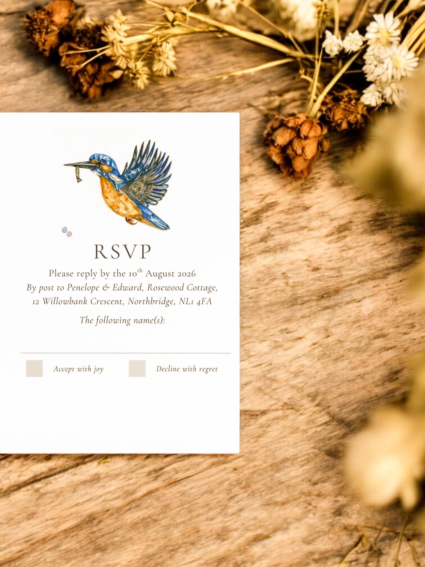 Simplistic Kingfisher