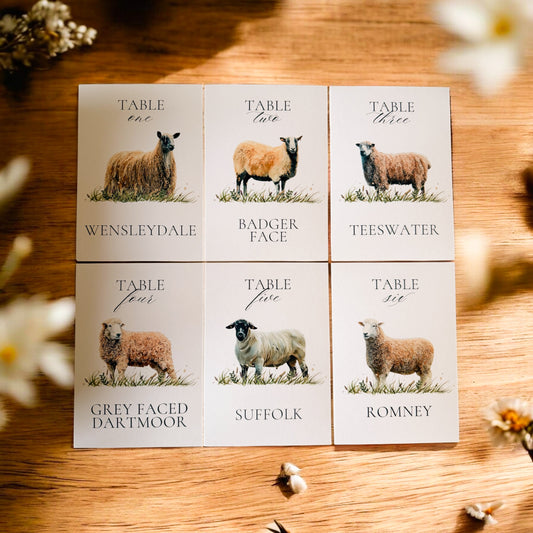 Sheep Table Names V2
