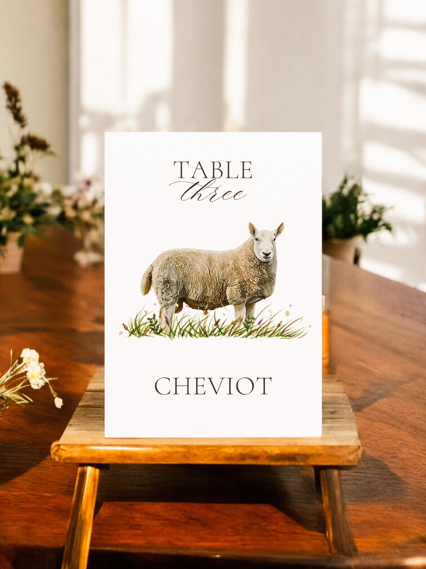Sheep Table Names V2