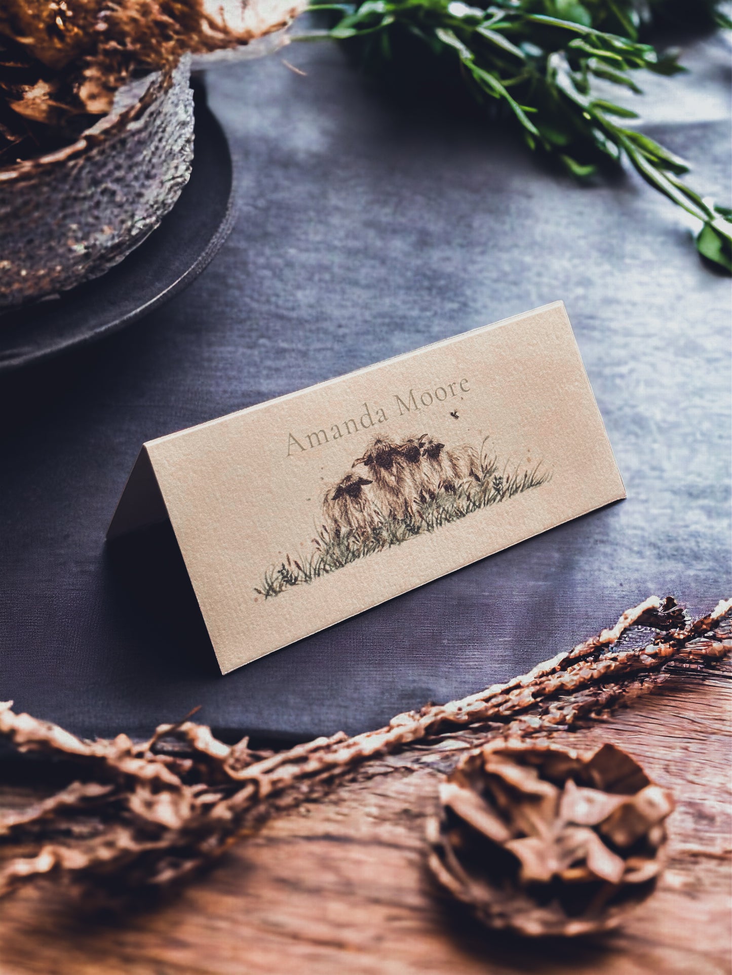 Valais Blacknose Sheep- Place Name