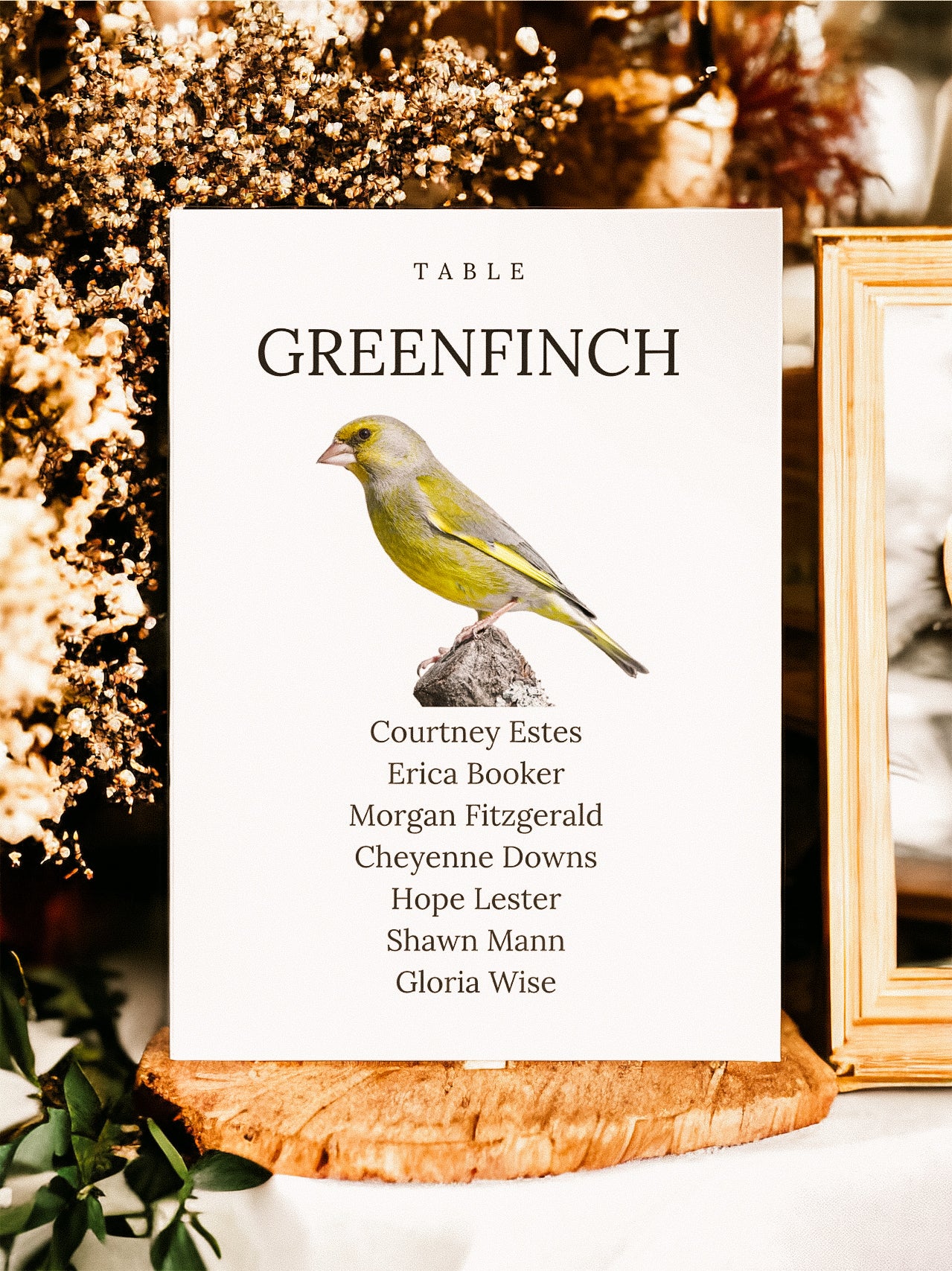 Garden Bird Table Names & Name Lists