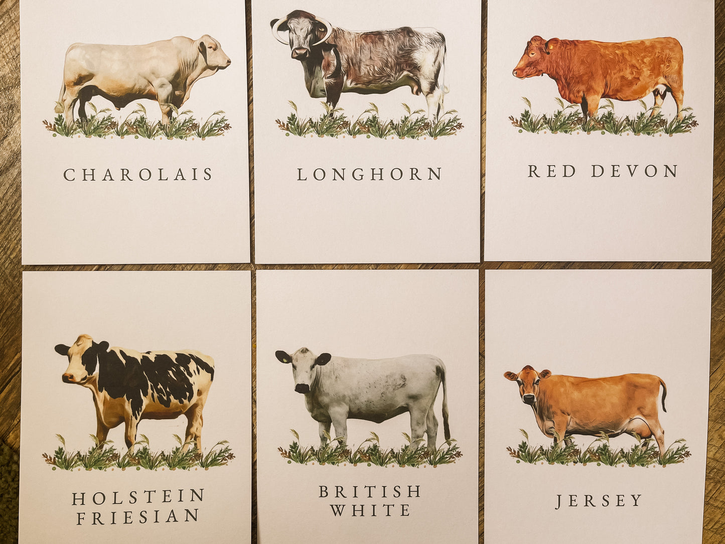 Cattle Table Names