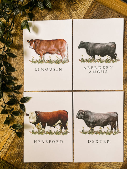 Cattle Table Names