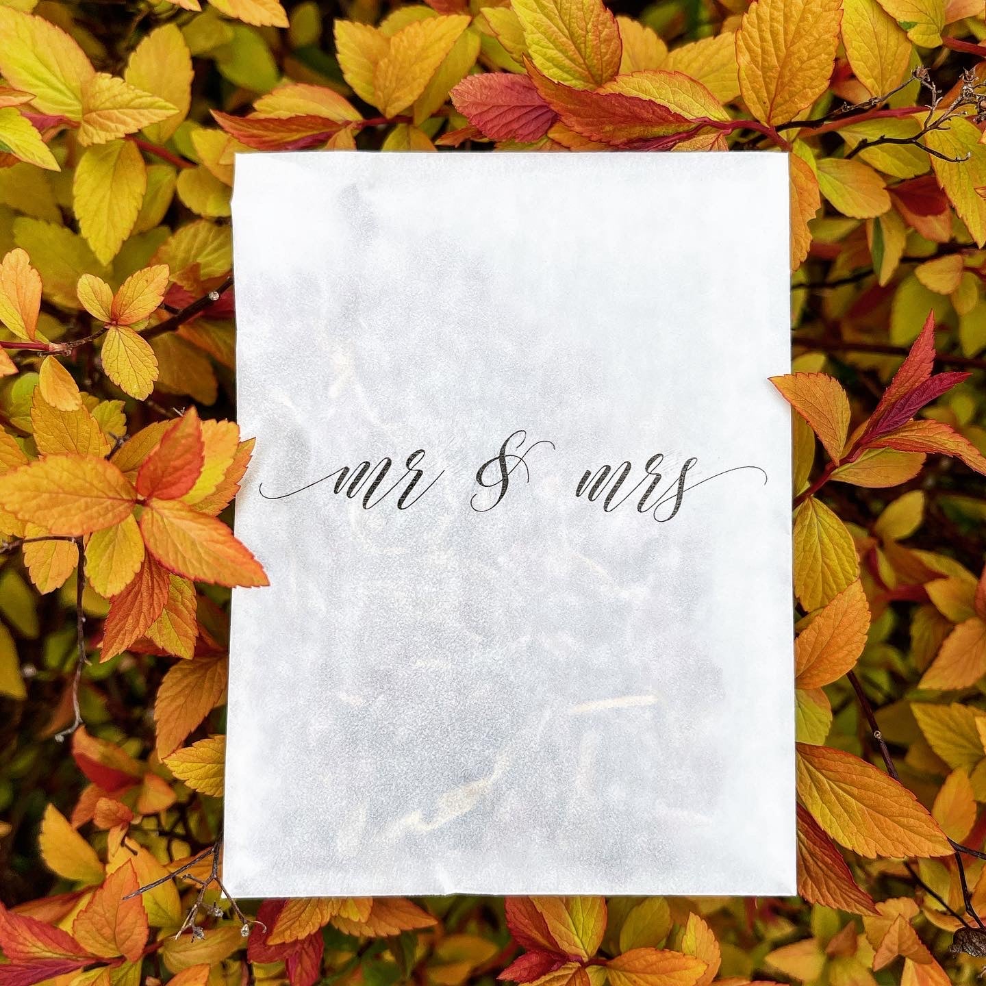 Printed Confetti Pouches - Empty