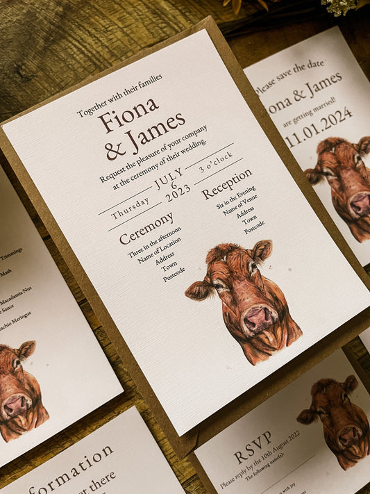 Limousin Cattle/Cow- Full Range