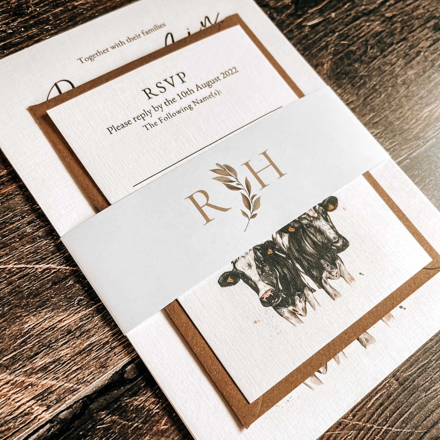 Dairy Cow (Holstein Friesian) V1