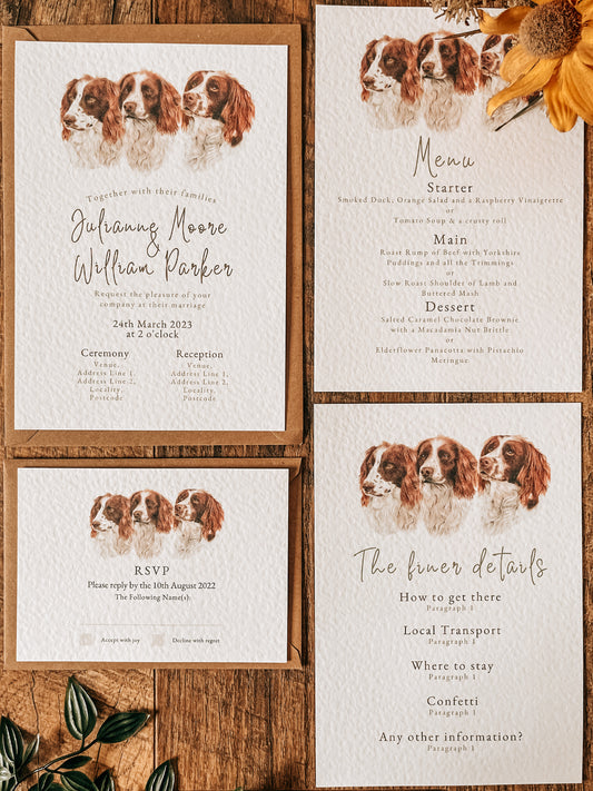 Trio of Spaniels - Full Range