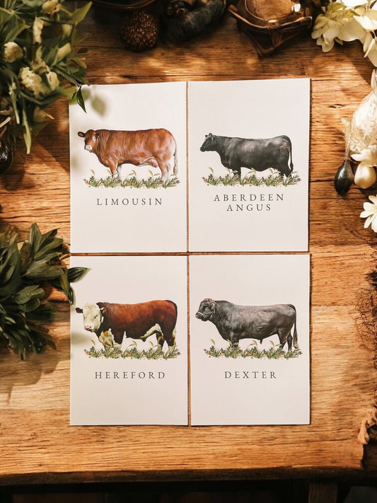 Cattle Table Names