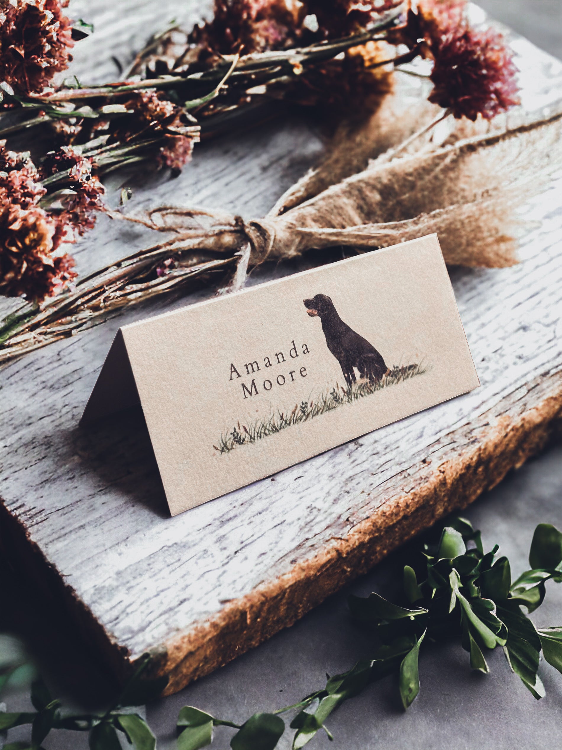 Black Labrador Place Name