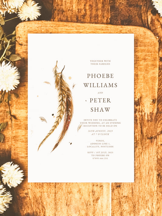 Pheasant Tail Feathers V2