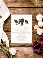 Belted Galloway cow - Full Range