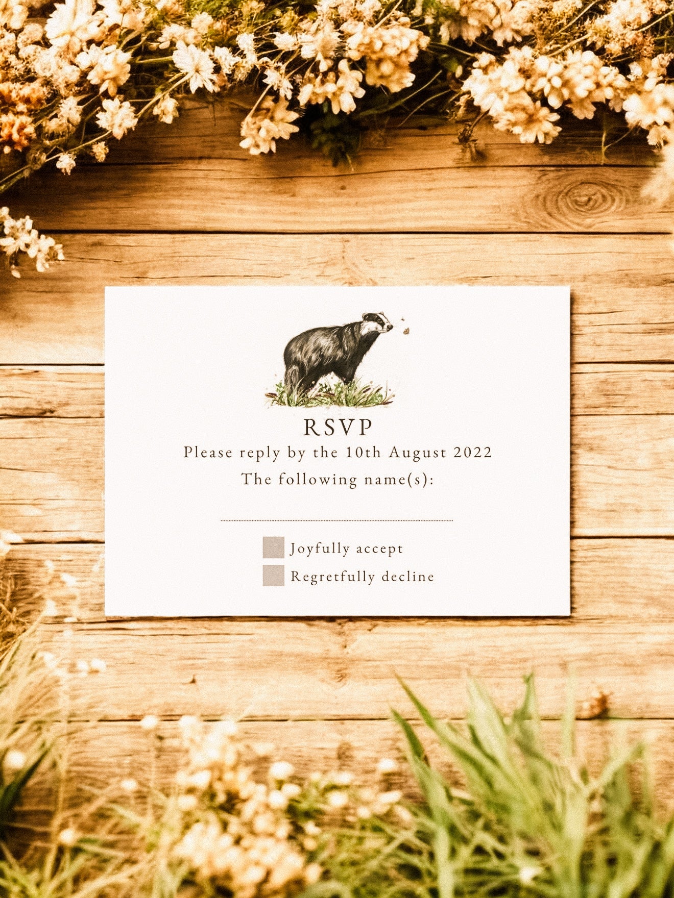 Basil the Badger - Full Range