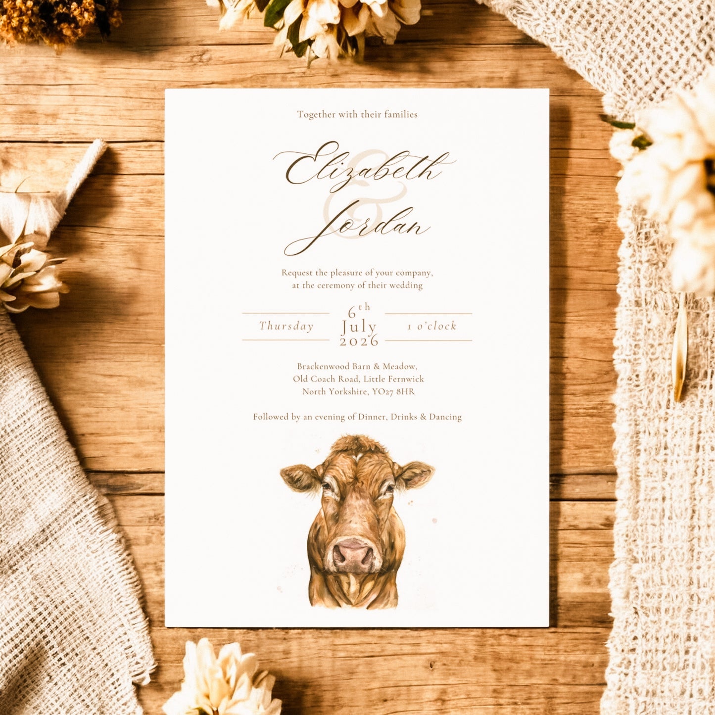 Limousin Cattle/Cow- Full Range