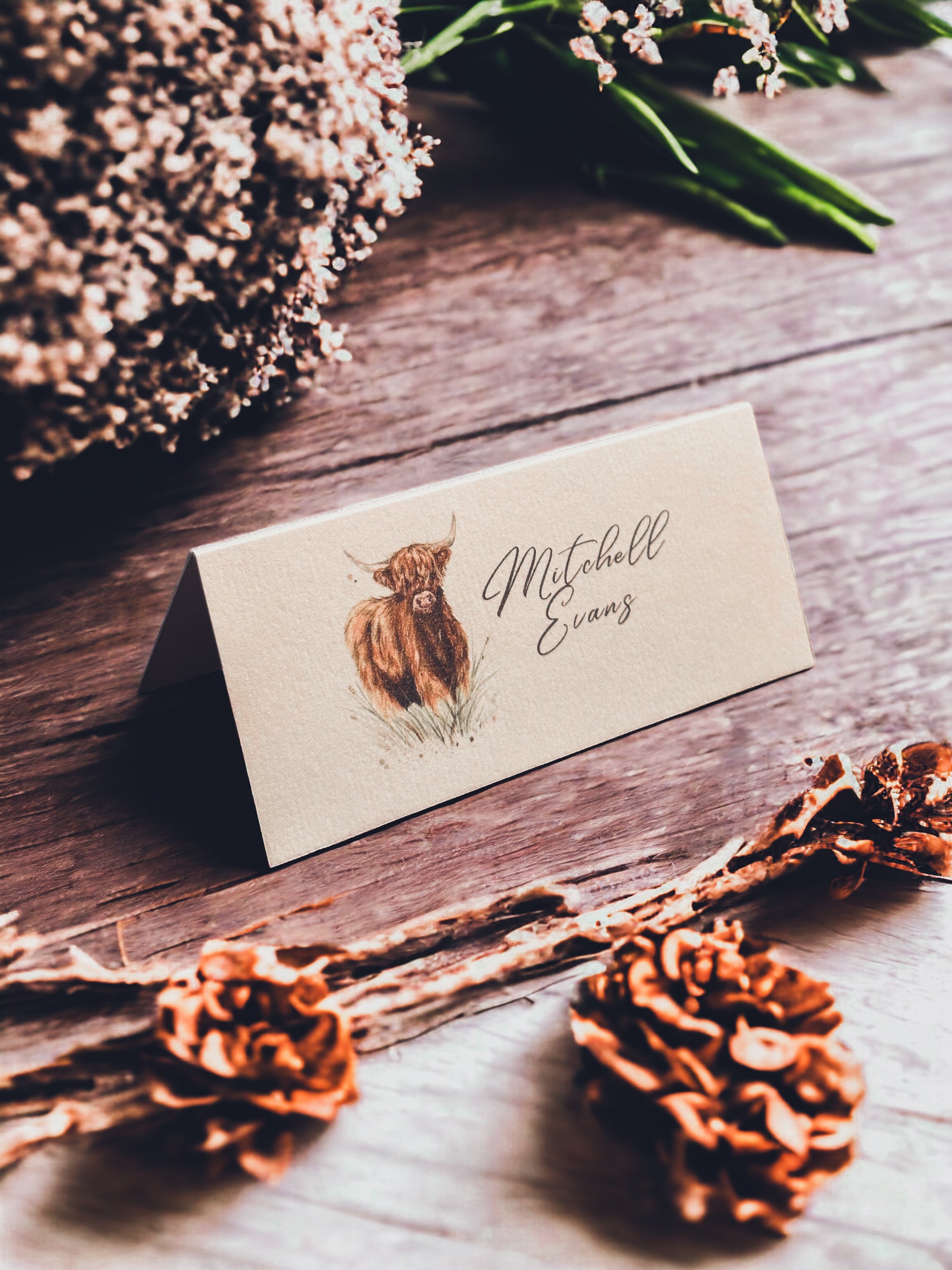 Highland Cow Place Name