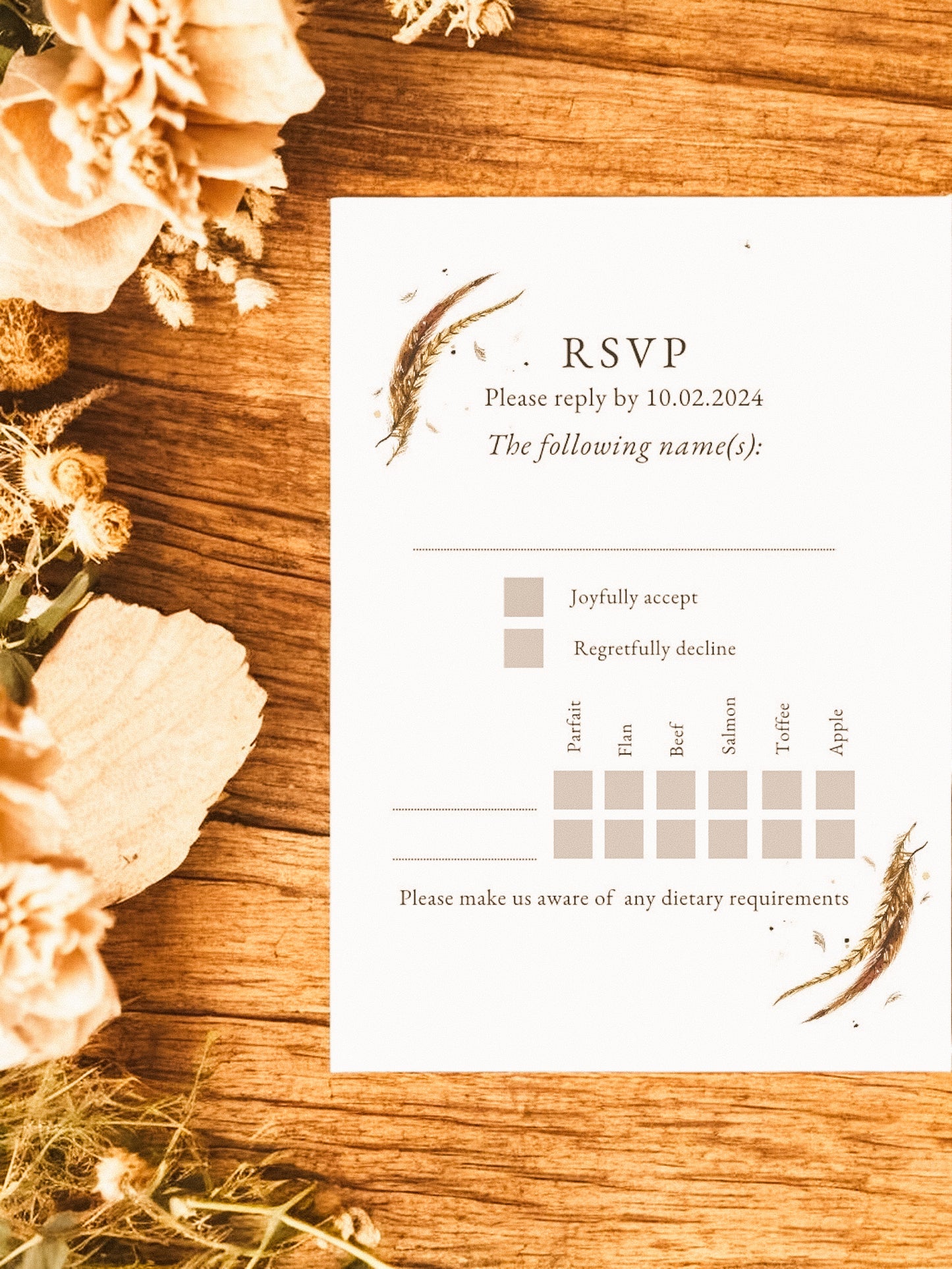 Pheasant Tail Feathers V2