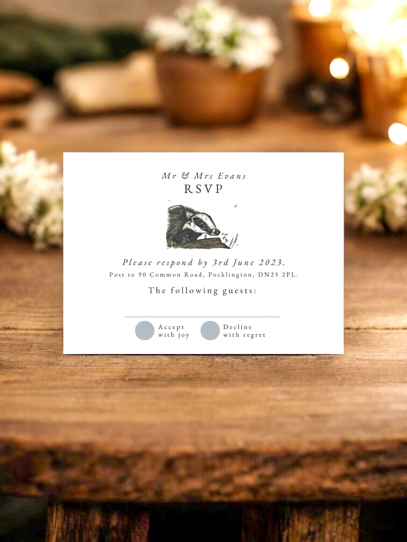 Beryl the Badger - Full Range