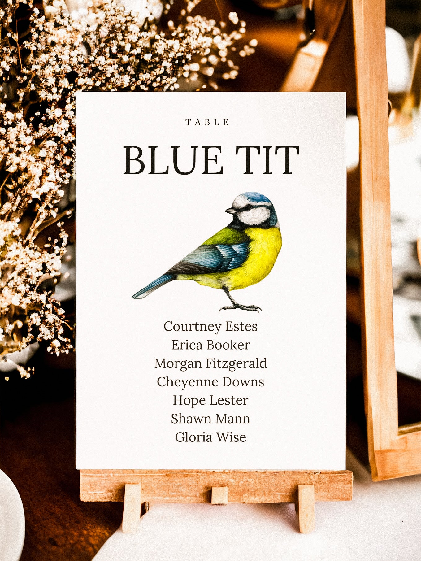 Garden Bird Table Names & Name Lists