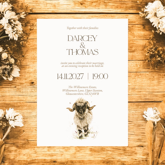 Valais Blacknose V3