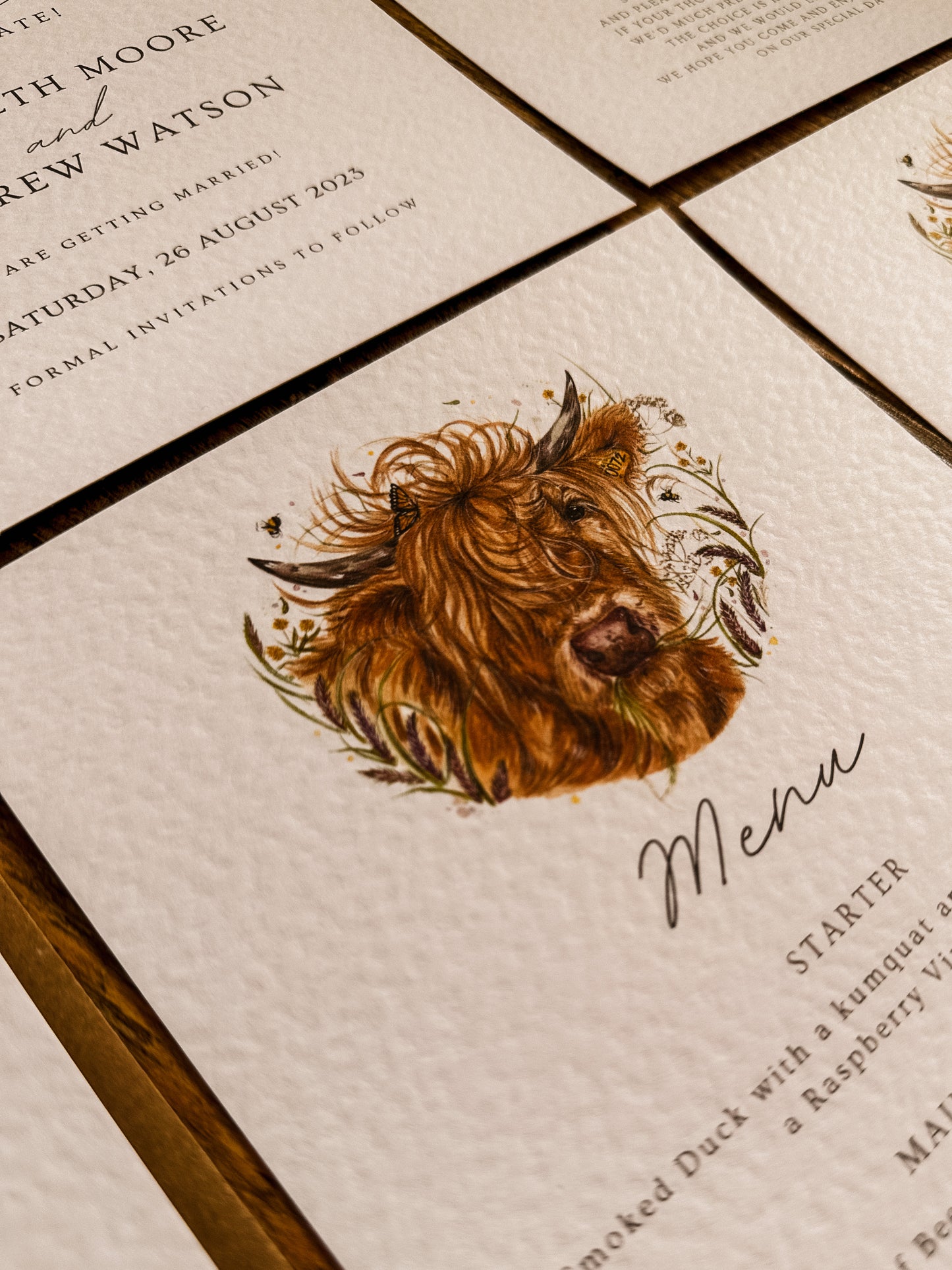 Hettie the Highland Cow - Full Range