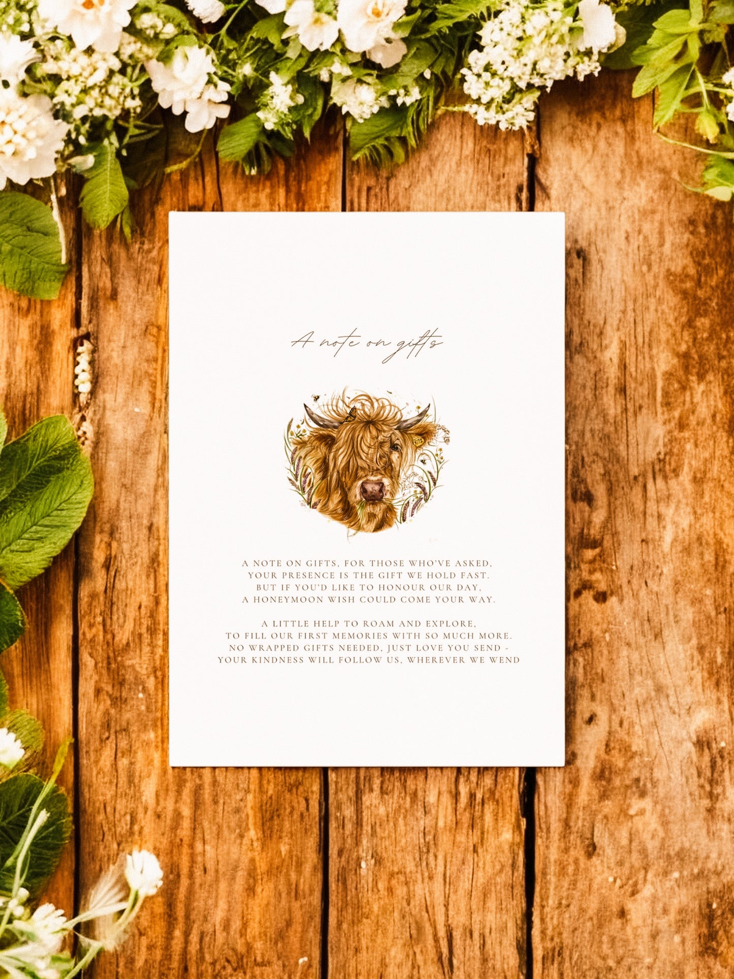 Hettie the Highland Cow