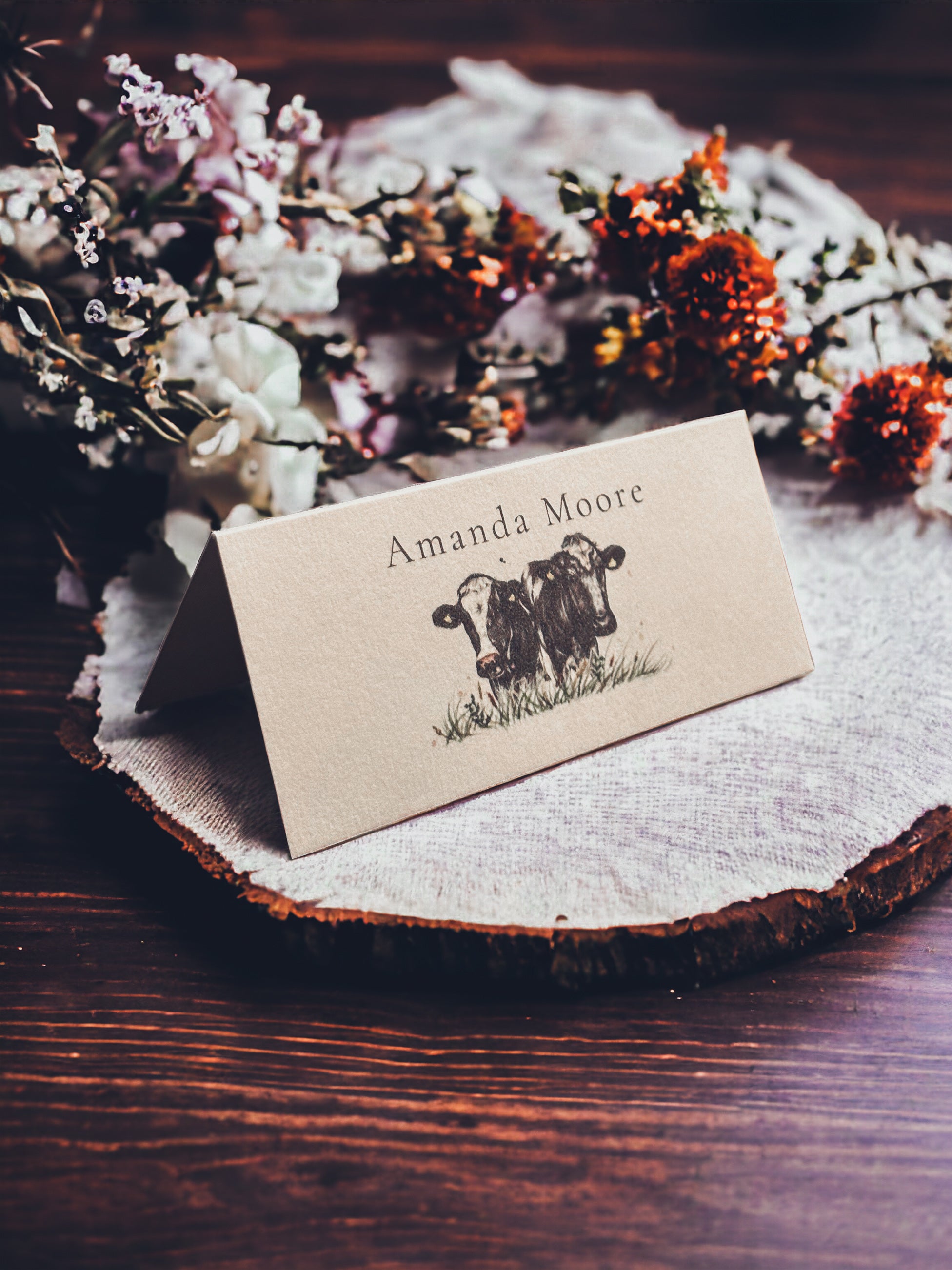 Holstein Friesian - Dairy Cow - Place Name