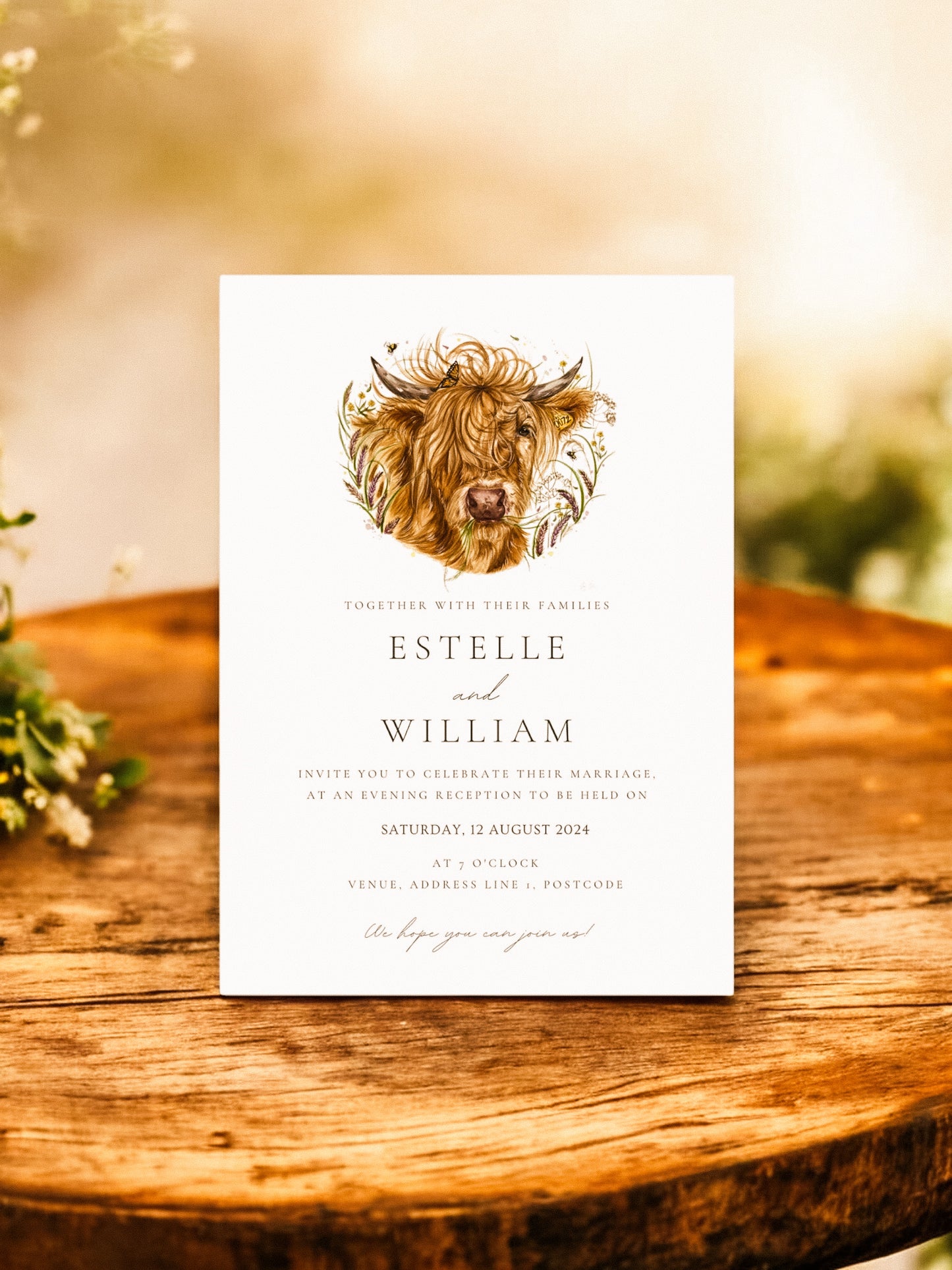 Hettie the Highland Cow