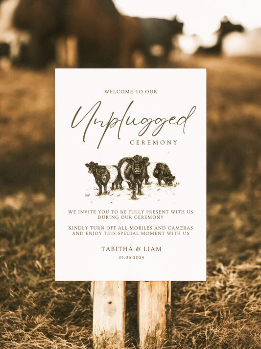 Unplugged Ceremony - Wedding Sign