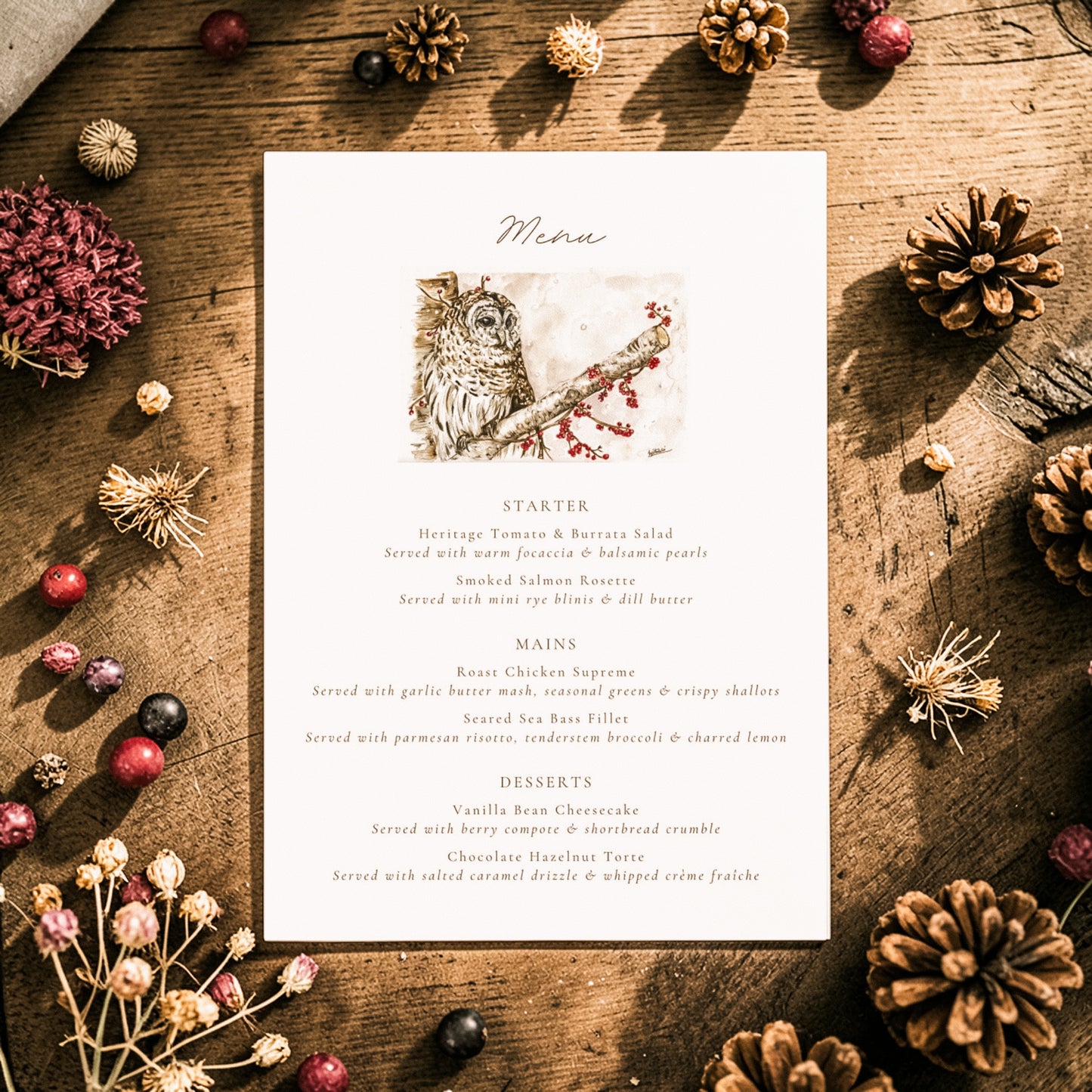 Winter Owl - Full Range