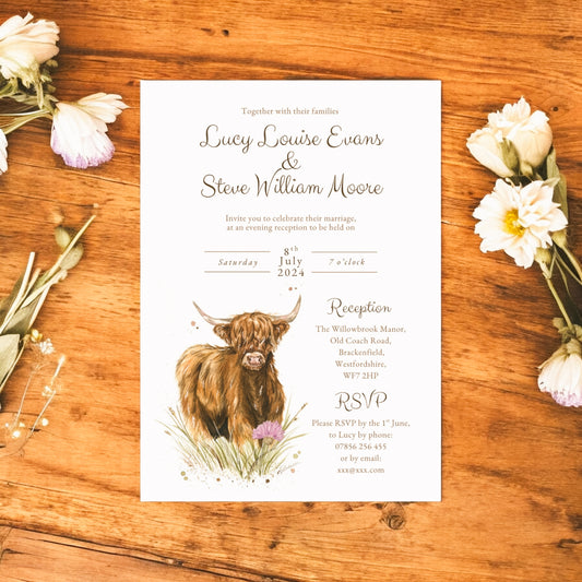 Highland Cow V1 - Full Range