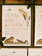 Wetland V2 - Full Range