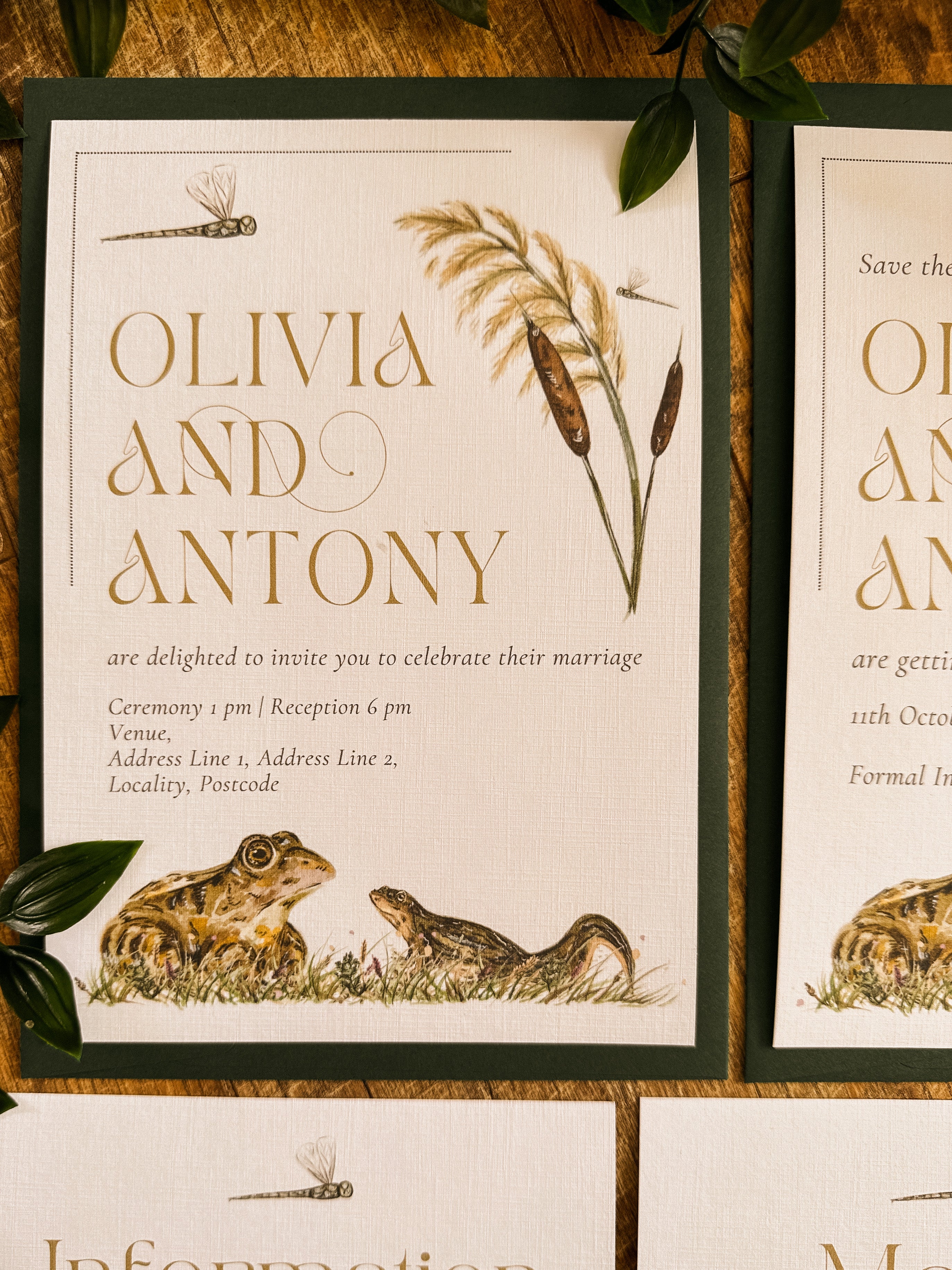 Wetland V2 - Full Range