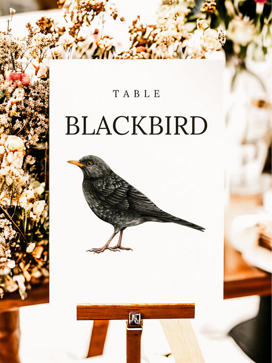 Garden Bird Table Names & Name Lists