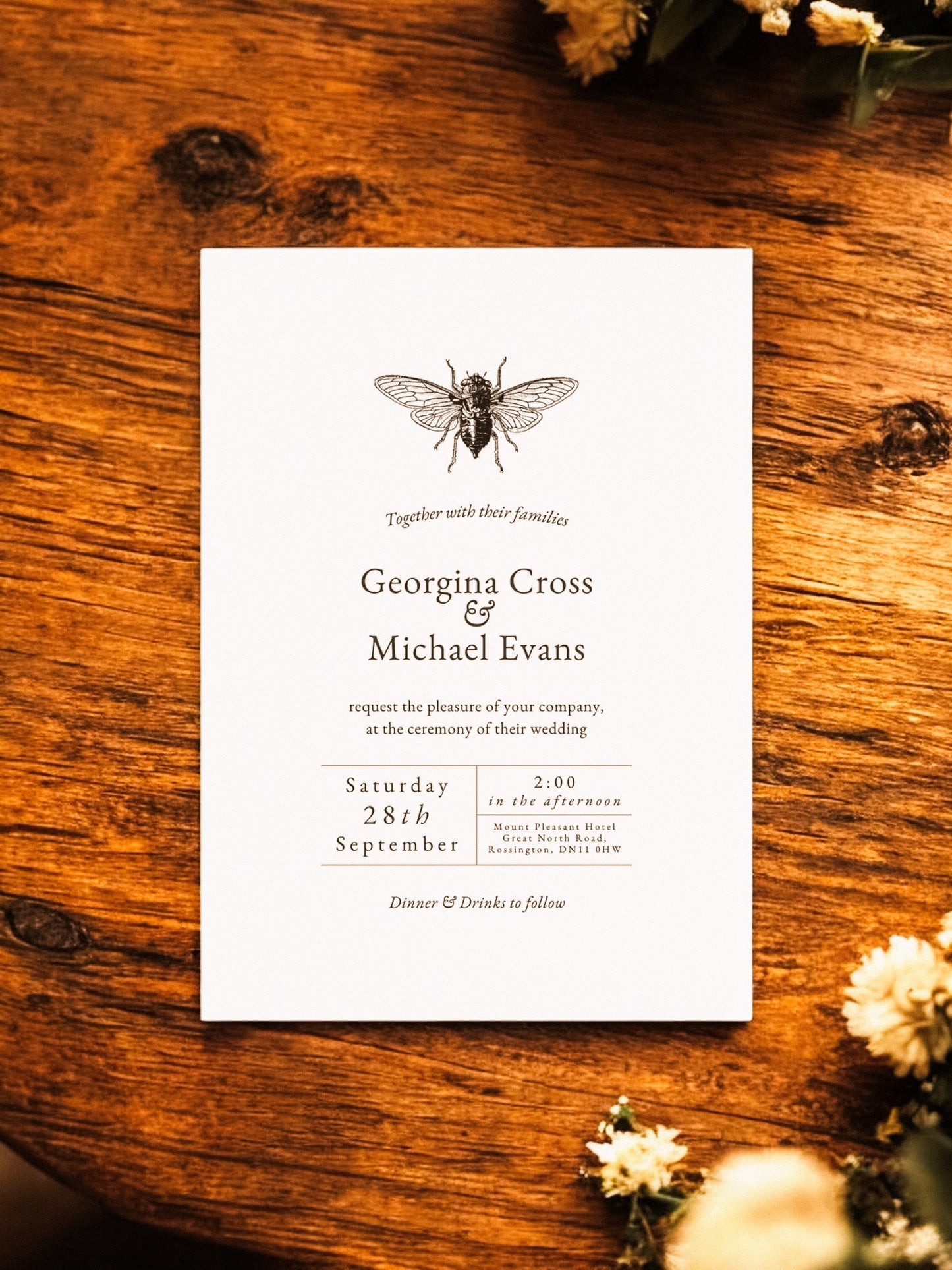 Minimalistic Bee