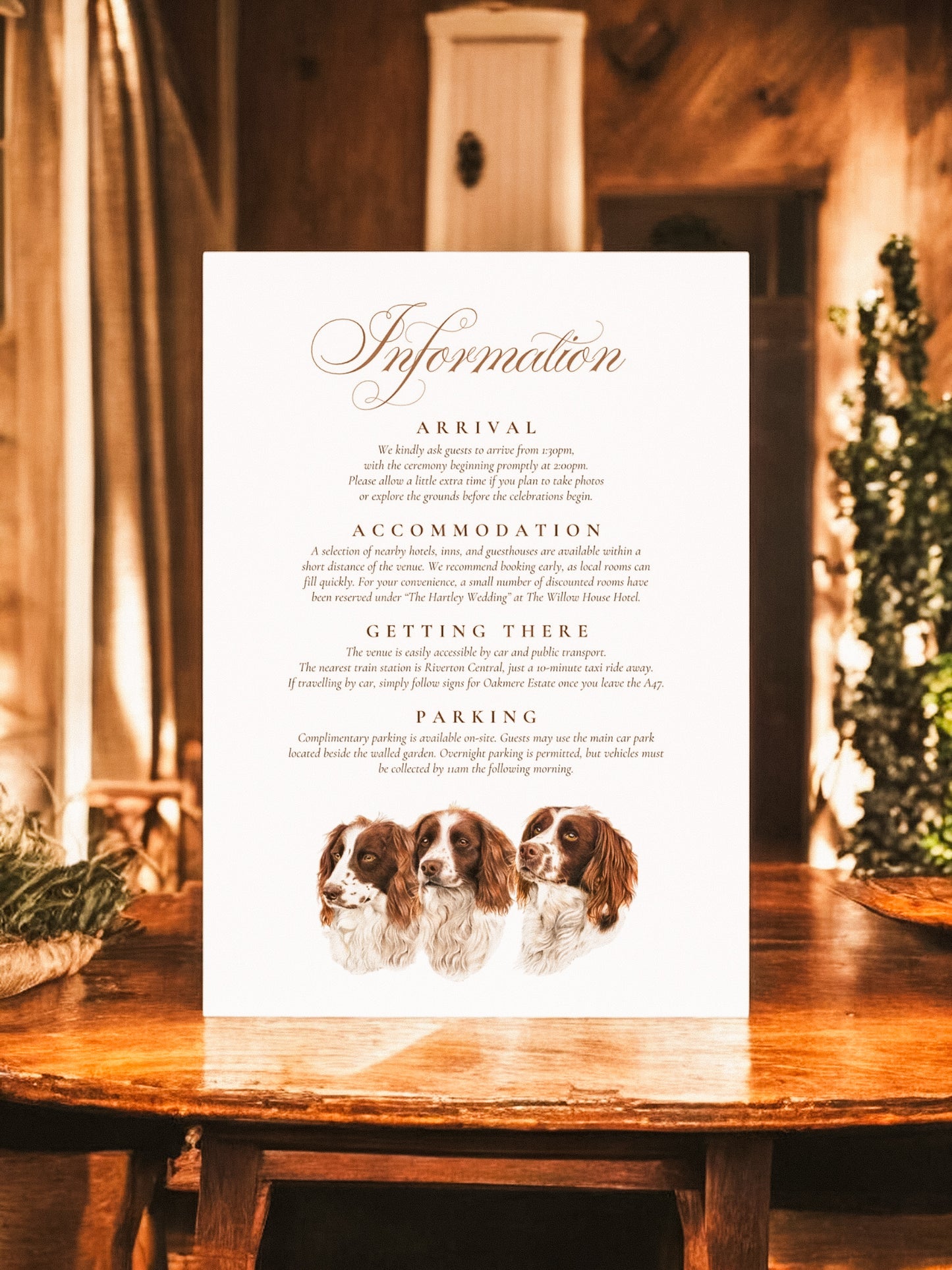 Trio of Spaniels