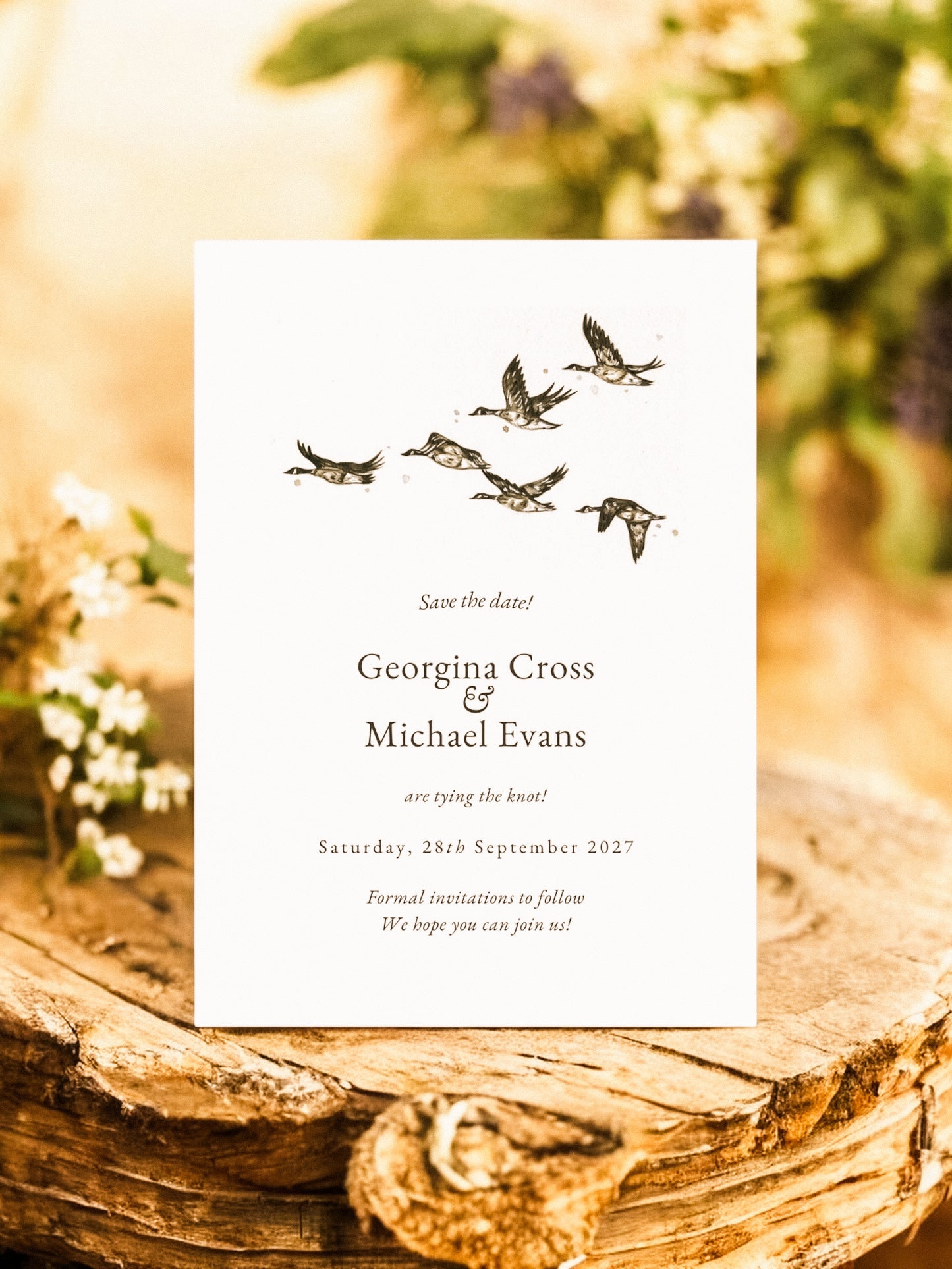 Geese in Formation
