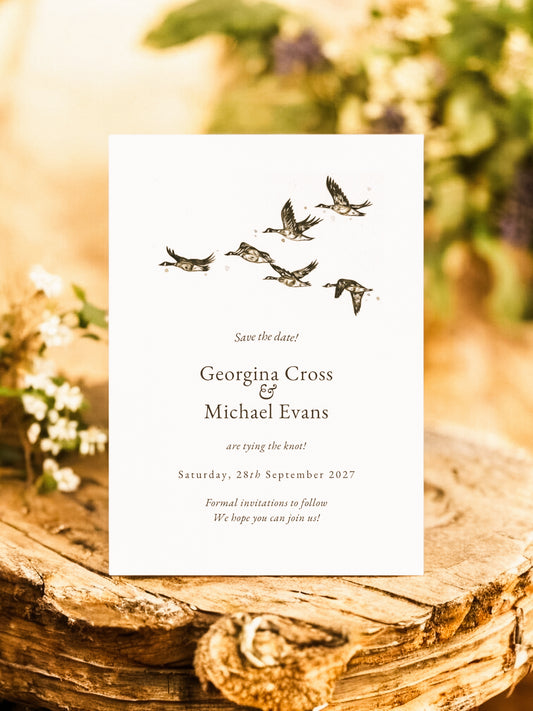 Geese in Formation