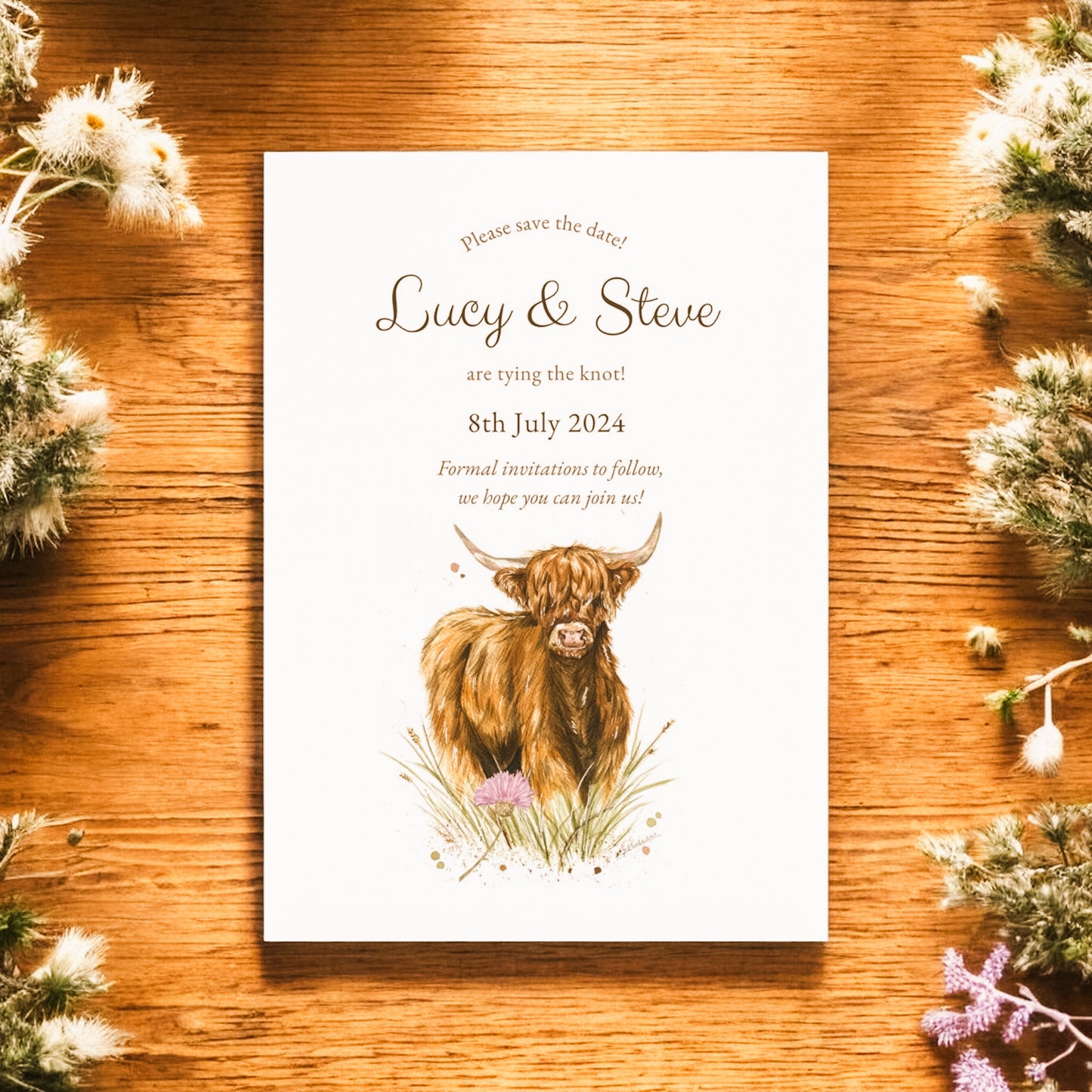 Highland Cow V1 - Full Range