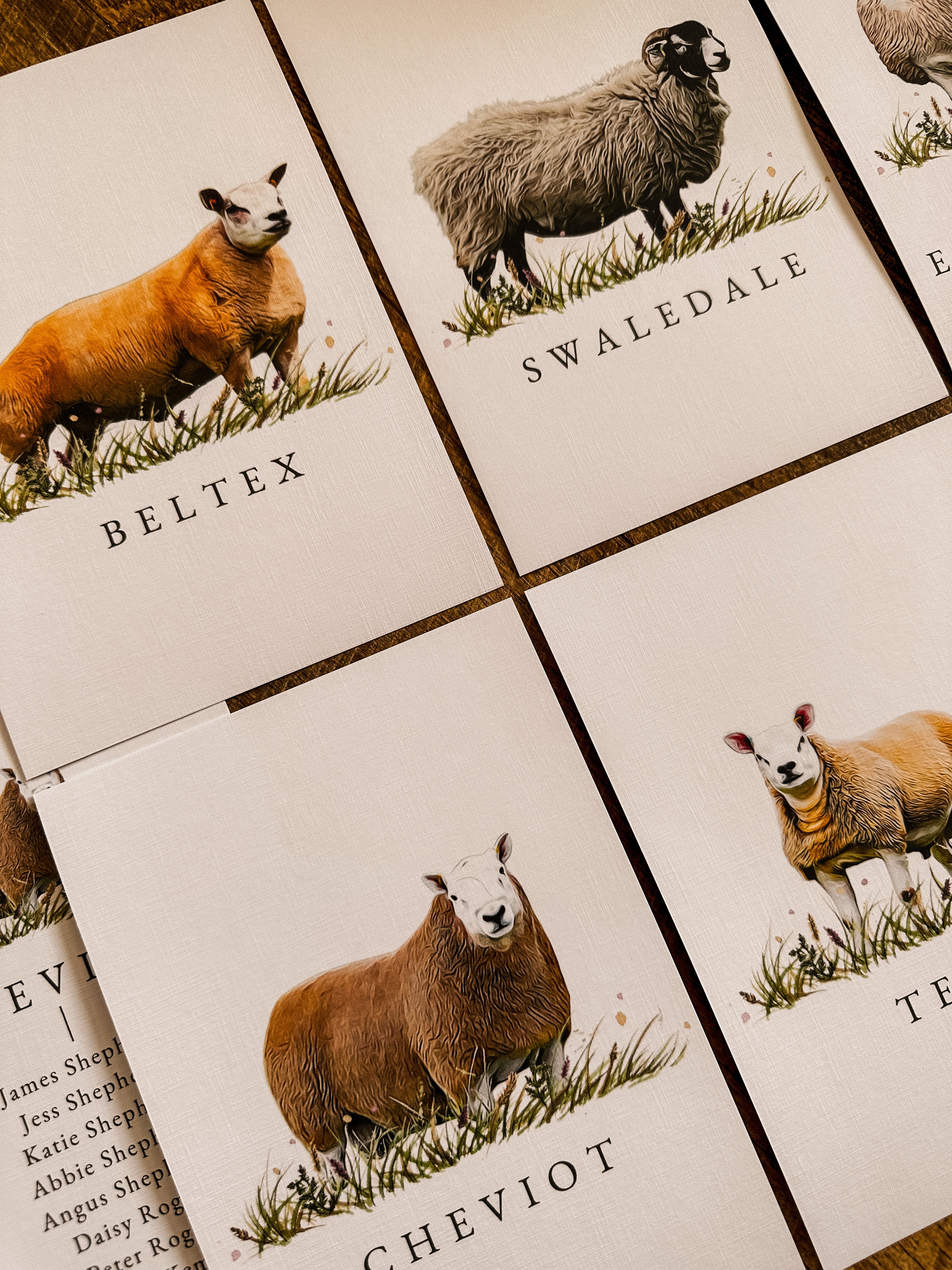 Sheep Table Names