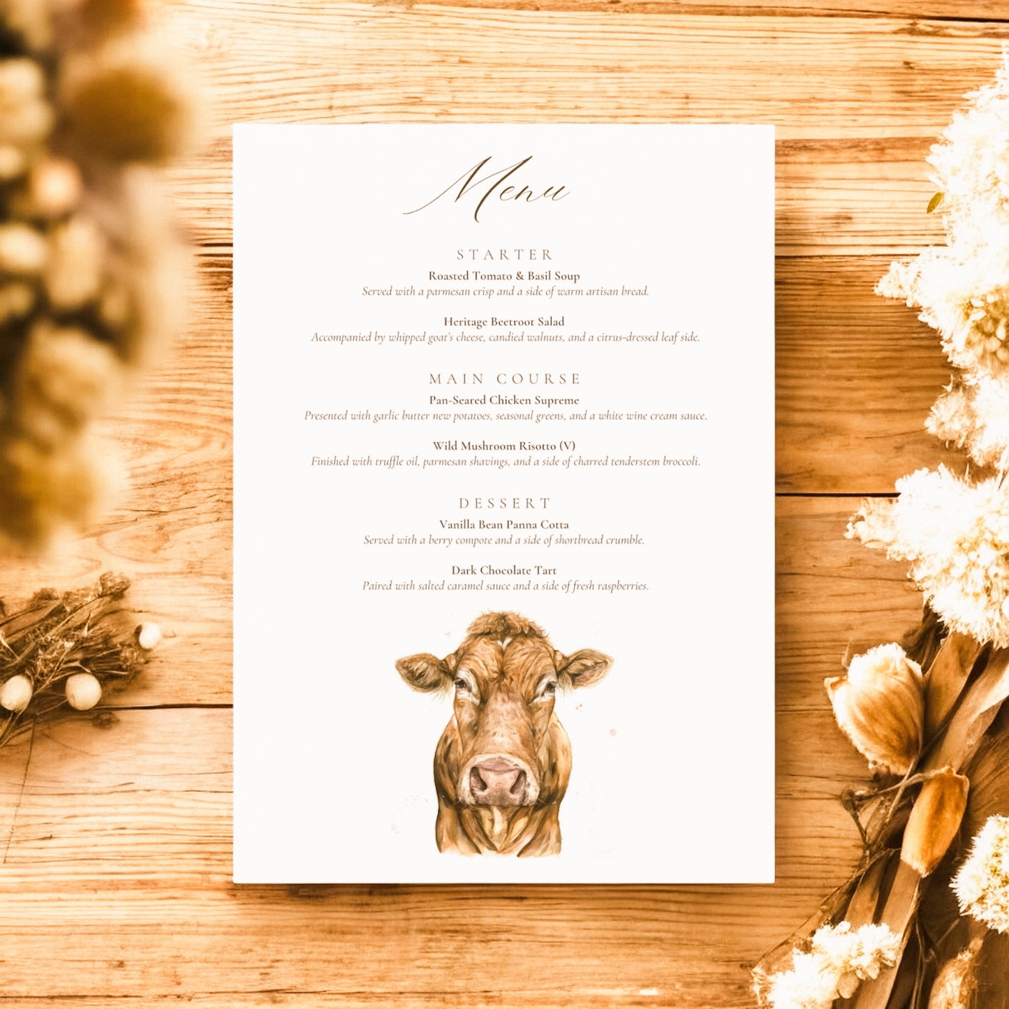 Limousin Cattle/Cow- Full Range